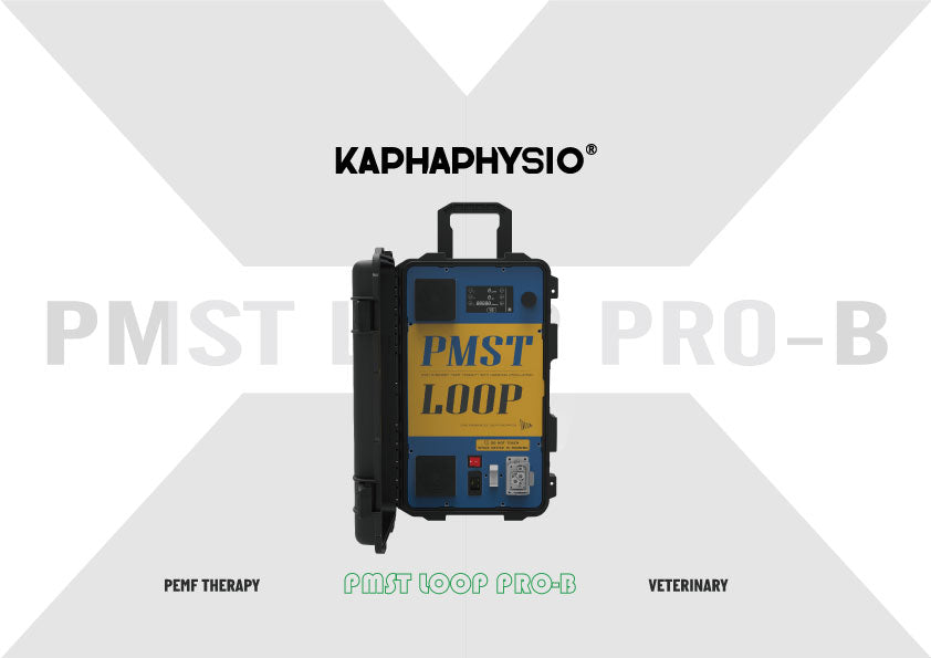 Load video: PMST LOOP PRO-B